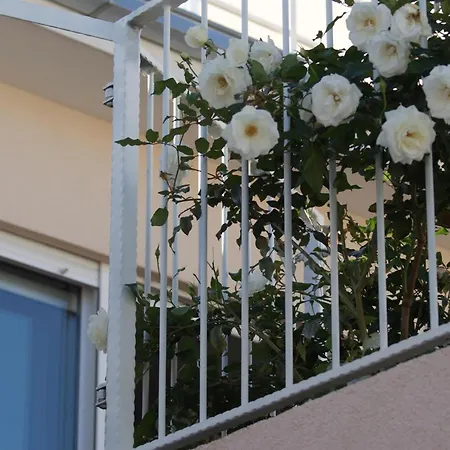 1 Im Erdgeschos Mit Terrasse Und Meerblick 아파트